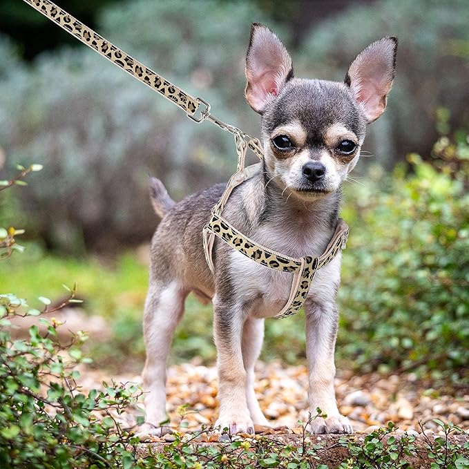 Mile High Life Leopard Dog Harness Collar Leash Set, Adjustable No Pull Dog Halter Harness for Small Breed Dogs, Easy Control for Training Walking (Beige, M Chest 15"-21", Neck 13"-17")