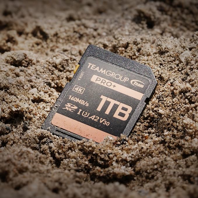 TEAMGROUP PRO 256GB UHS-I U3 A2 V30 4K UHD Read/Write Speed up to 160/120MB/s
