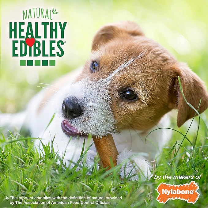 Nylabone Healthy Edibles Natural Dog Chews Long Lasting Roast Beef Flavor Treats for Dogs, Small/Regular (2 Count) (Pack of 2)