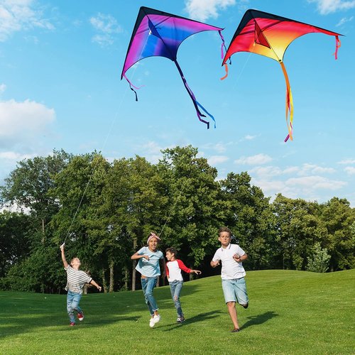 JOYIN Large Delta Kites - Easy to Fly Airplane & Spaceship Designs | Perfect for Kids & Adults Outdoor Fun