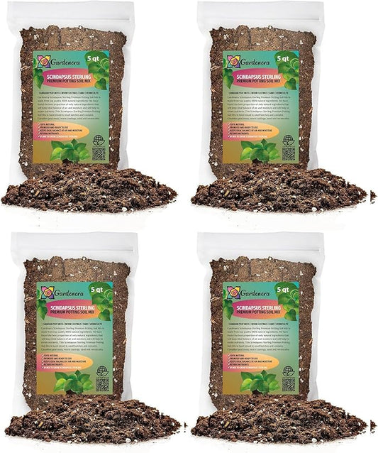 Gardenera Scindapsus Sterling Potting Mix - Unlock Robust Growth and Stunning Leaves with Our High-Performance Formula - 20 Quart