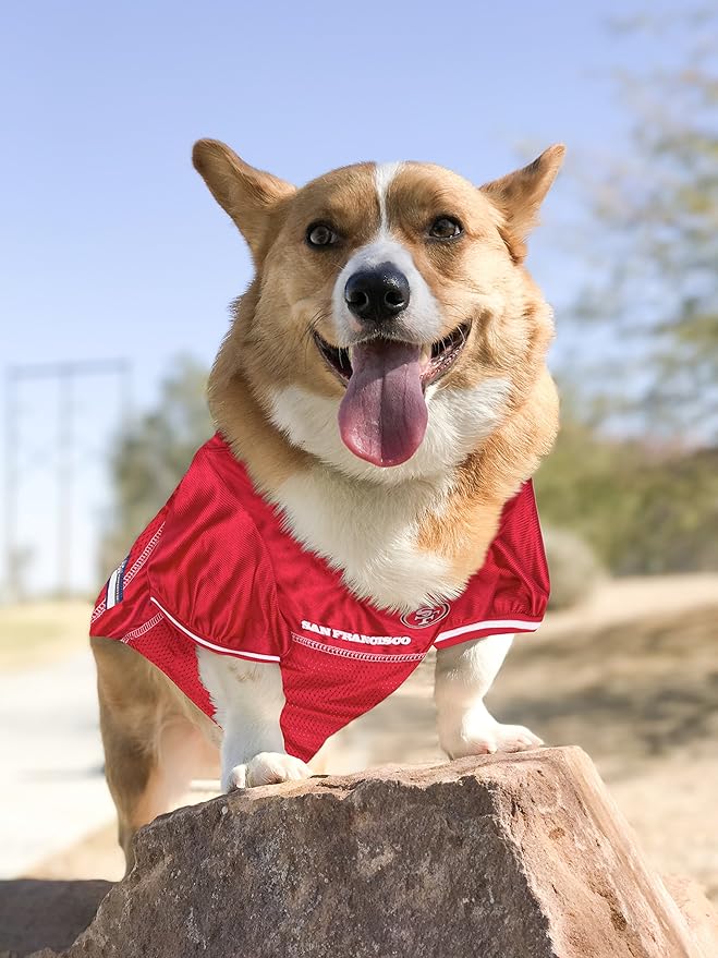 Pets First NFL Unisex-Adult NFL Jerseys