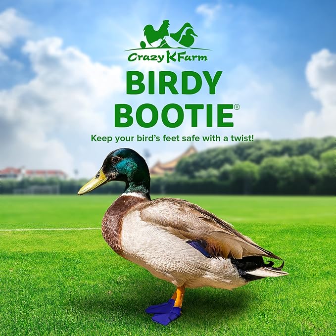 Duck Shoes for Injured Feet – Protective Neoprene Footwear for Ducks, Protective Shoes for Birds with Injured feet, Bumblefoot Relief - Small, 2.5’’ Max. Inside Width - Royal Blue