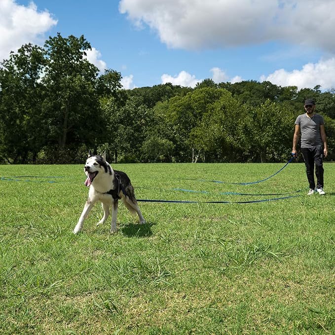 Hi Kiss Dog/Puppy Obedience Recall Training Agility Lead - 15ft, 20ft, 30ft, 50ft, 100ft Training Leash - Great for Play, Camping, or Backyard Blue - 30 Feet