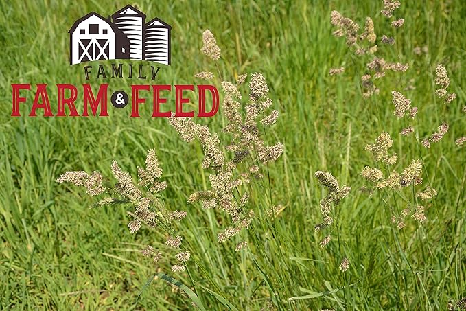 | Alfalfa Hay Food | Small Pet | Young and Adult | Cubes | 4 Pounds
