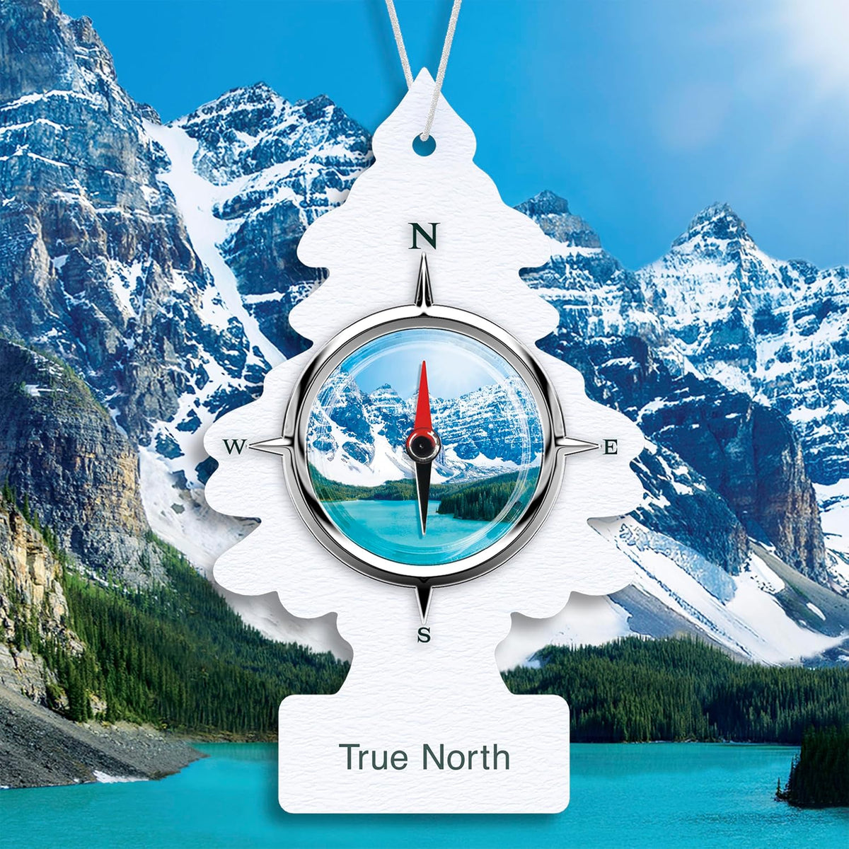 LITTLE TREES Car Air Freshener | Hanging Tree Provides Long Lasting Scent for Auto and Home | 24 Air Fresheners |True North