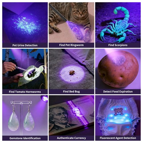 Jebemis UV Black Light Flashlight, 2 Pack 365nm Mini Pen Light with Clip, Waterproof Ultraviolet Flashlight for Leak, Pet Urine, Scorpion, Hotel Inspection, Dry Stain and Bed Bug