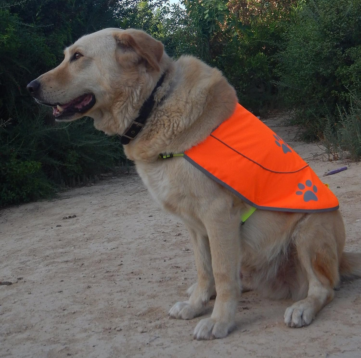Skiennix Dog Reflective Vest - High Visibility Safety Jacket for Dogs | Comfortable Fit, Yellow, XX-Large