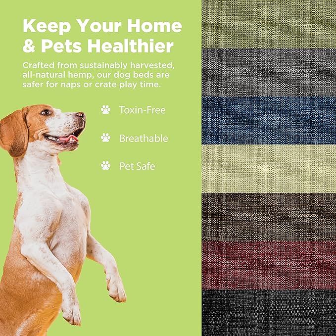 XX-Large - 54 x 36 x 6 - Cactus Premium Organic Hemp Dog Bed - Organic Latex Fill - Removeable Cover