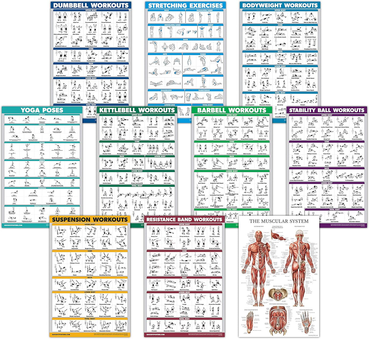 Skiennix Exercise Workout Poster Set - 10 Pack of Laminated Fitness Charts | 18" x 24" Size